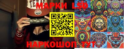 амф Шахты