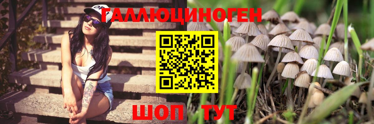 Галлюциногенные грибы MAGIC MUSHROOMS Надым